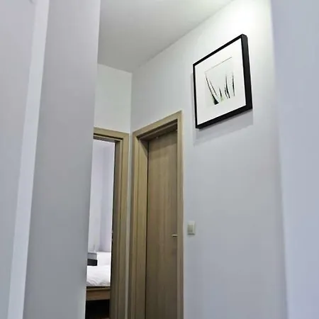 Openhouse Choi *